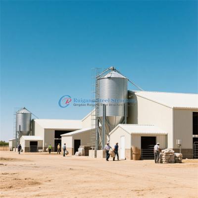 Prefab Steel Structure Poultry House Customized Steel Frame Chicken Coop