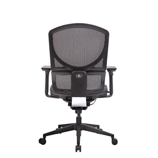 Isee M Ergonomic Office Chair Mesh Desk Adjustable Back Lumbar Support