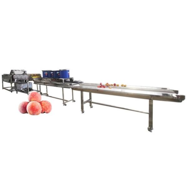 Hot selling Factory Cheap Price Air-bubble-washing-machine For Chills by Huafood