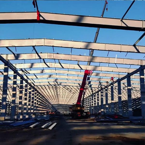 Renowned Design: Low-Cost Prefabricated Steel-Frame Cattle Barn and Livestock Facility (Featuring Solar Panels)