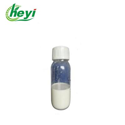 50% SC Fluazinam Fungicide Control Late Blight In Pomato CAS 51707-55-2