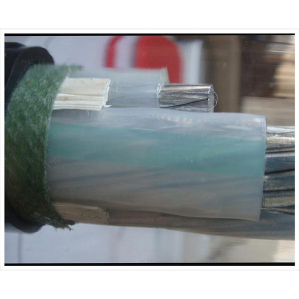                    High Endurance XLPE Insulated Power Cable for Continuous Operations             