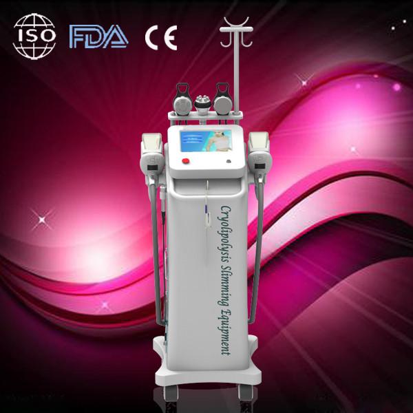 2014 Low price cryolipolysis equipment / cryolipolysis slimming machine for best slimming