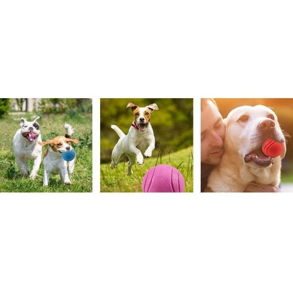 Perros de mascotas golosinas de goma Distribución de bolas Escondiendo comida rompecabezas mordedura interactivos mascota mastica