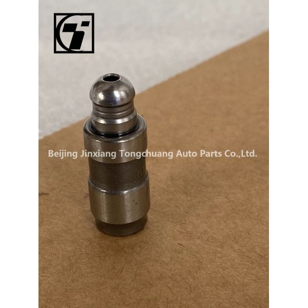 Foton Aumark Aucan 2.5 Engine 4F25TC Hydraulic Tappet PV10001518 for All Car Models