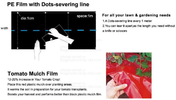Weed Control Mulch Film, Agriculture Vegetable Black PE Films, 5 Holes Greenhouse Perforated Film