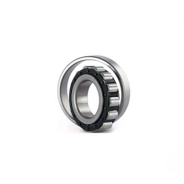 Hot Selling Double Row Cylindrical Roller Bearing 40x80x18mm Nj208e