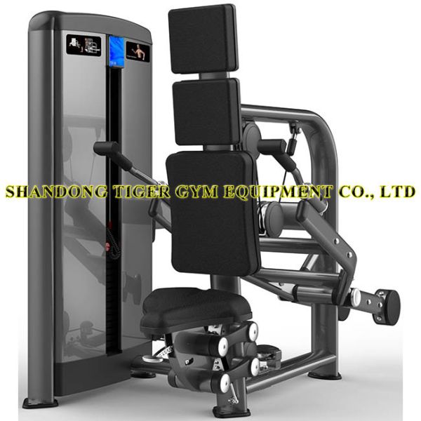 Fitness Equipment Triceps Extension for exercising Musculus triceps brachii / Musculus serratus anterior