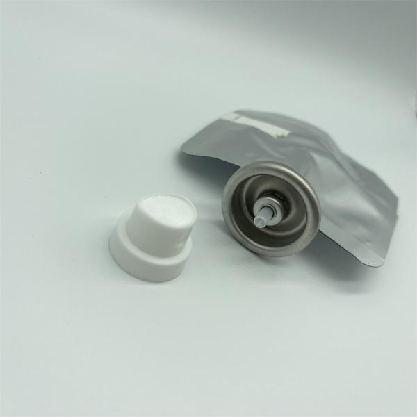 Eco Friendly Bag On Valve Spray For Personal Care Sustainable Packaging With Easy Dispensing