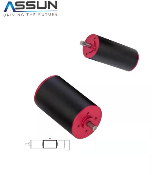 1KHz Brushless Coreless Motor 36V 45mm Diameter 100mm Length