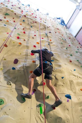 Blue Gecko King Rock Kids Climbing Wall Holds Contact Seller Enhance Physical Strength