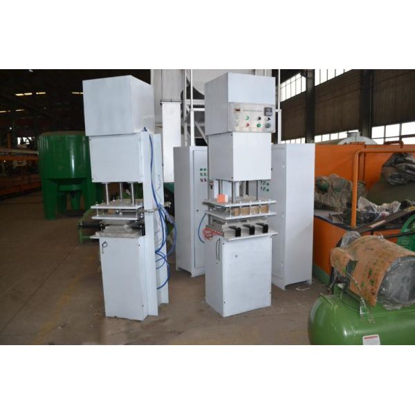 Поднос яйца бумажной пульпы 2 прессформ делая машину Ресипрокатинг тип легкий работает