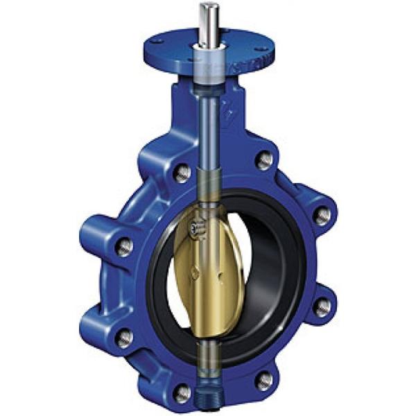 2 inch ductile iron fully Lug style type butterfly valve manufacturer