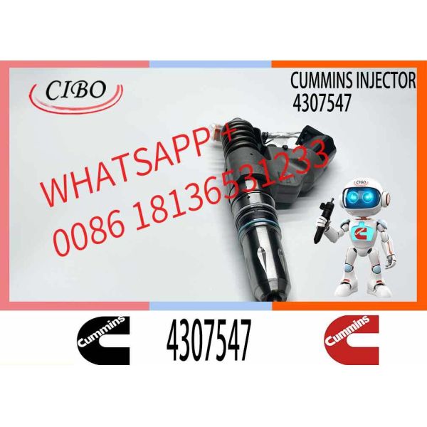 N14 QSM11 M11 Injector Repair Kit Set 4903322 3074219 3083863 4903319 4061851 3080429 3411767 4902921 9547931 3803682 4307547