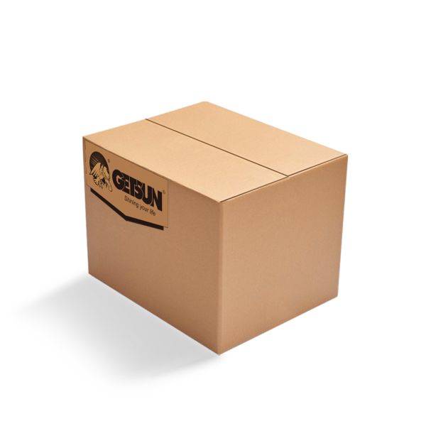 Hot Sale Getsun Injector & Choke Cleaner Car Cleaning Oil & Carbon Deposit Removal