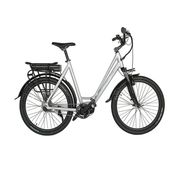 DOMANCA 750w Lady Electric Bike Sensor Smart Type and 18 Speed Gears for City Riding