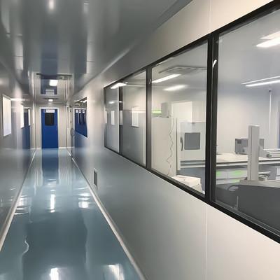 GMP Factory Direct Supply of Sandwich Panels Clean Doors and Windows for Clean Room Project
