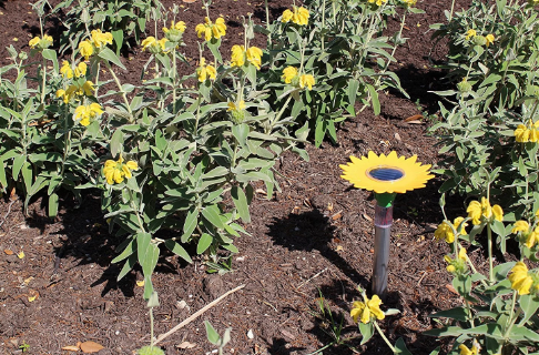 Sunflower Solar Powered ultrasonic rodent control Repel Mice Snake Rodent Outdoor