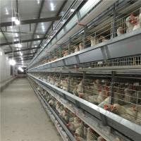 Jaula animal galvanizada sumergida caliente de la batería automática del marco de H/jaula de la capa del pollo/jaula de batería de la capa del pollo en venta