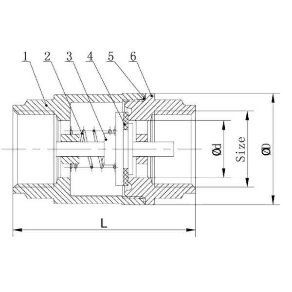 Весна 2ПК вертикальная - нагруженный задерживающий клапан 1/4