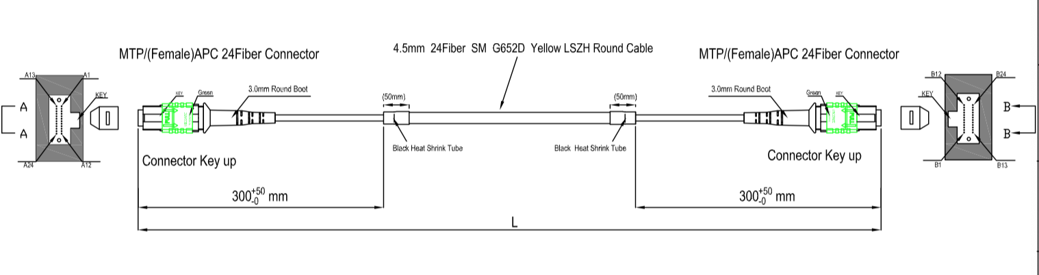 12F 24F MPO To MPO Fiber Optic Cable 4.5mm Double Jacket OM4 OM3 SM Optional