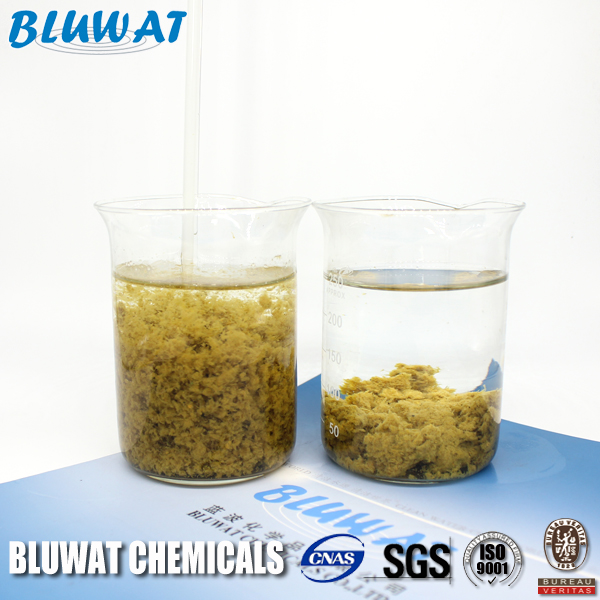 Wastewater Treatment Cationic Polyacrylamide CAS No 9003-05-8 SGS Certification