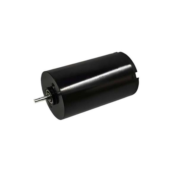 16mm Brushed DC Motor 1.57 Watt 9980rpm Electric Brush DC Motor 24V Customizable