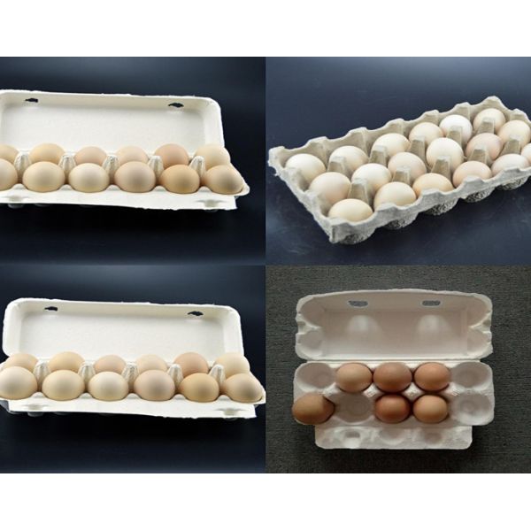 Paper Egg Tray Machine 20/30/6/12/15/18 Cavity Pulp Tray Mold For Molded Pulp Products