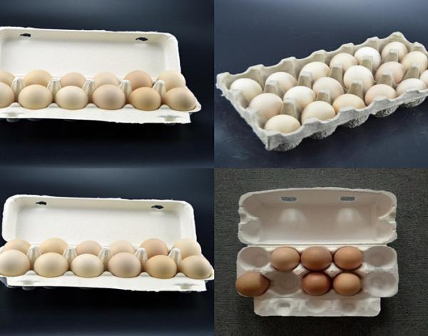 RL - ZJM Paper Egg Tray Machine With 2 Years Warranty , Energy Saving
