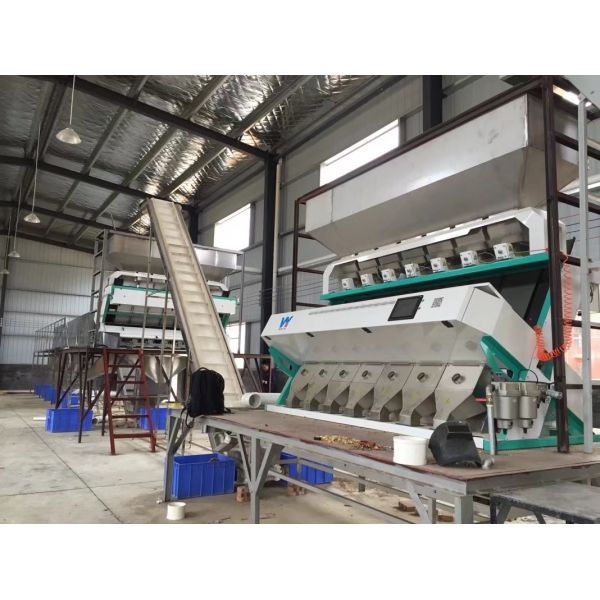 CE Certificated Nuts Color Sorter Machine For Pine Nut Pistachio Walnut