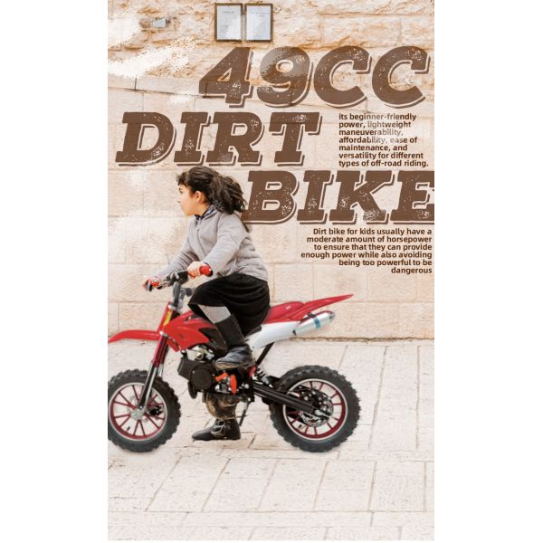 CE Approved 49cc 2 Stroke Kids Orion PCA01 Dirt Bike MAX LOAD 100kg Tires 2.50-10