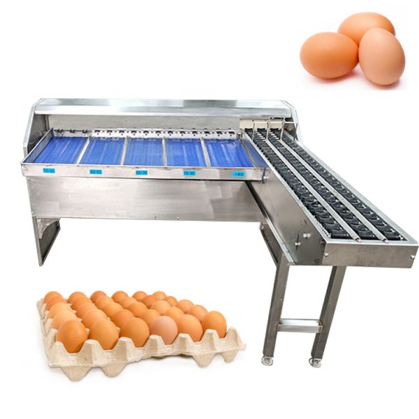 200W Automatic Egg Weight Sorting Machine for Small Scale Chicken Egg Classification