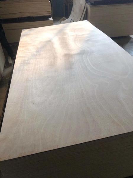 High quality cheap price multiple thickness kitchen cabinet usage Okoume veneer poplar fancy plywood