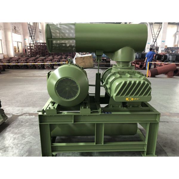 DN65 Three  Lobe Roots Type Air Blower BK5003 For Water Treatment,Wastewater Treatment,Aquaculture And Fish Farming