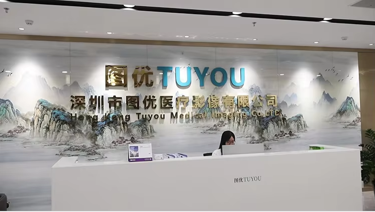 Metal Construction Tuyou FHD 2 in 1 Rigid Endoscope Camera System with Cold Light Source for ENT Cystoscopy Surgery