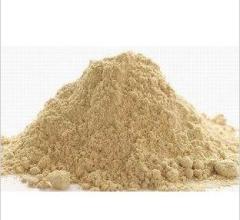 Herb Roots Powder 35-150C Industrial Vacuum Dryer Electricity Heating