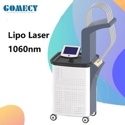 Aucun laser de la chirurgie 1060nm Lipo amincissant la machine avec l'écran tactile