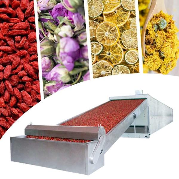 Konjac Red Chilli Dryer Machine ISO SGS