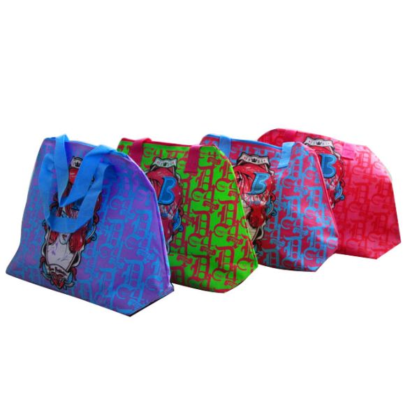 75g Silk screen printing beauty elipe shape sea beach zipper non woven carry bag