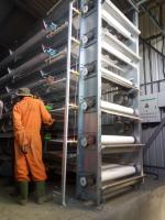 Tipo galvanizado saudável quadro da gaiola 1250 da grelha da galinha das aves domésticas