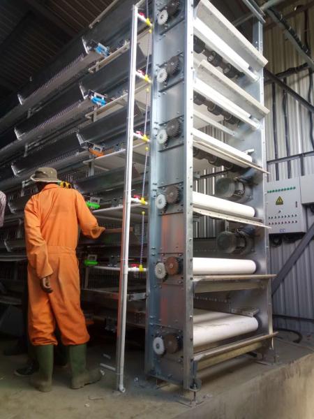 6 Tiers Q235 Battery Layer Hens Cage Chicken Breeding Cage