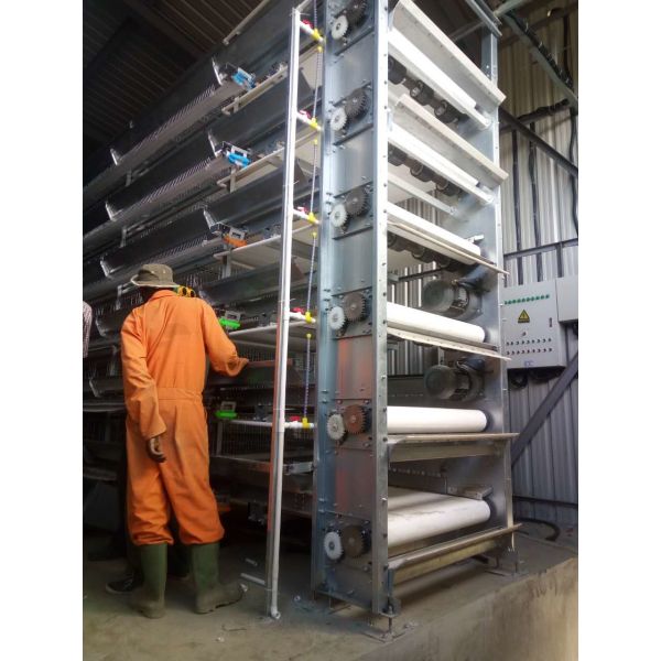 Automatic Poultry Farm Equipment High-Density H-Type Layer Battery Chicken Cage System for Egg Production Farm