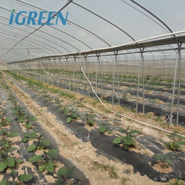 Commercial Large Single Layer Film Greenhouse with Cooling Pad Fan Internal External Shading Drip Irrigation Hydroponics System