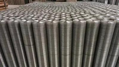Welded Wire Mesh