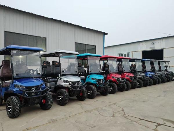 Classic Blanc 6 places électrique tout-terrain Voiture de golf de luxe batterie au lithium équipée de pneus tout-terrain de 14 pouces