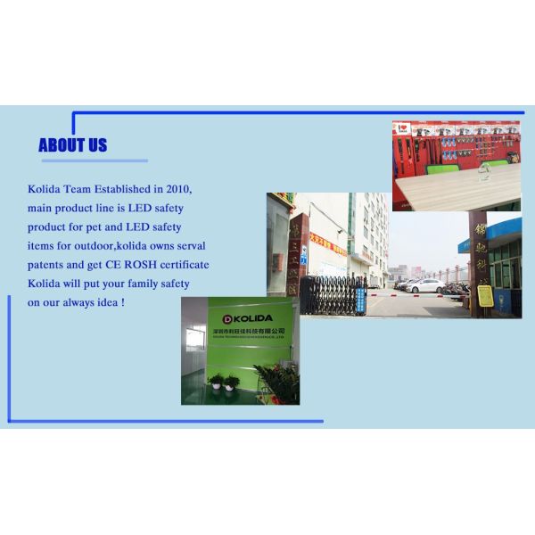 Customized Logo Nylon Reflective Safety Dog And Cat Band , Pet Band For Night