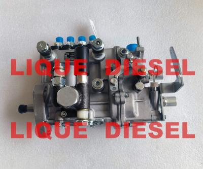 Diesel Pump BH4QT95R9 kangda pump