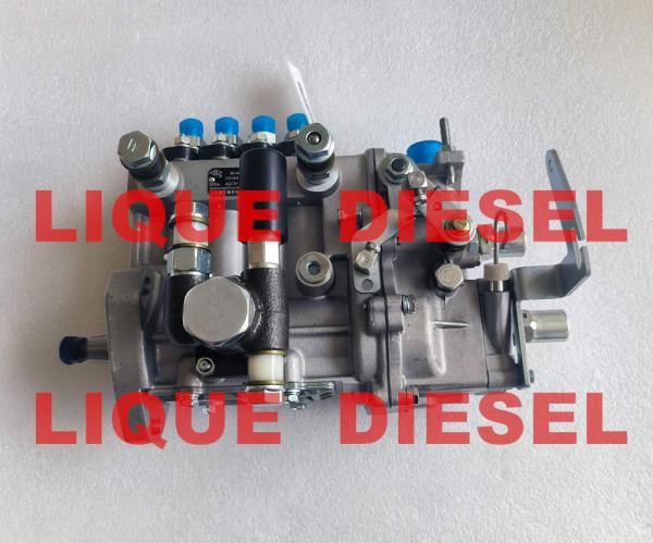 Diesel Pump BH4QT95R9 kangda pump