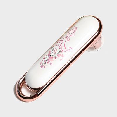 USB que recarrega 6 o instrumento da beleza de In1 880nm RF EMS