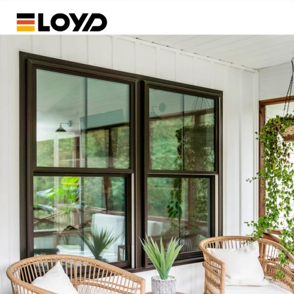 Custom Double Single Hung Window with Low-E Glass